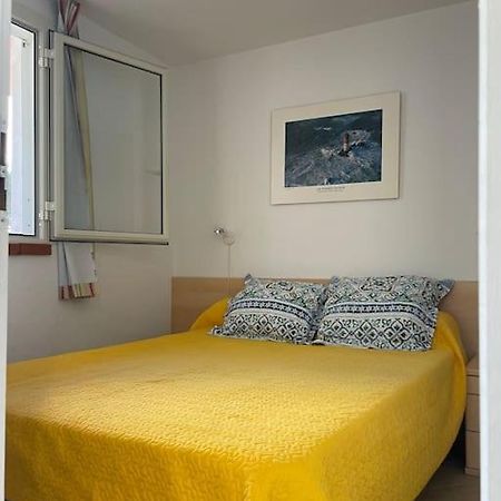 Apartamento Appart. / Clim / Piscine / Mer A 300M Linguizzetta Exterior foto